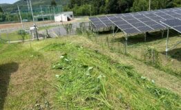 LINE_ALBUM_240731_10