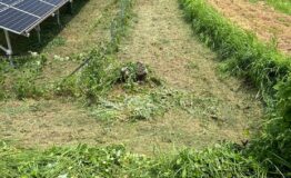 LINE_ALBUM_240731_11