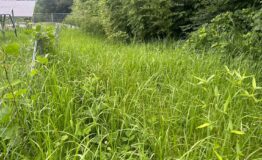 LINE_ALBUM_240731_4