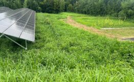 LINE_ALBUM_240731_7