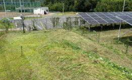 LINE_ALBUM_240731_9